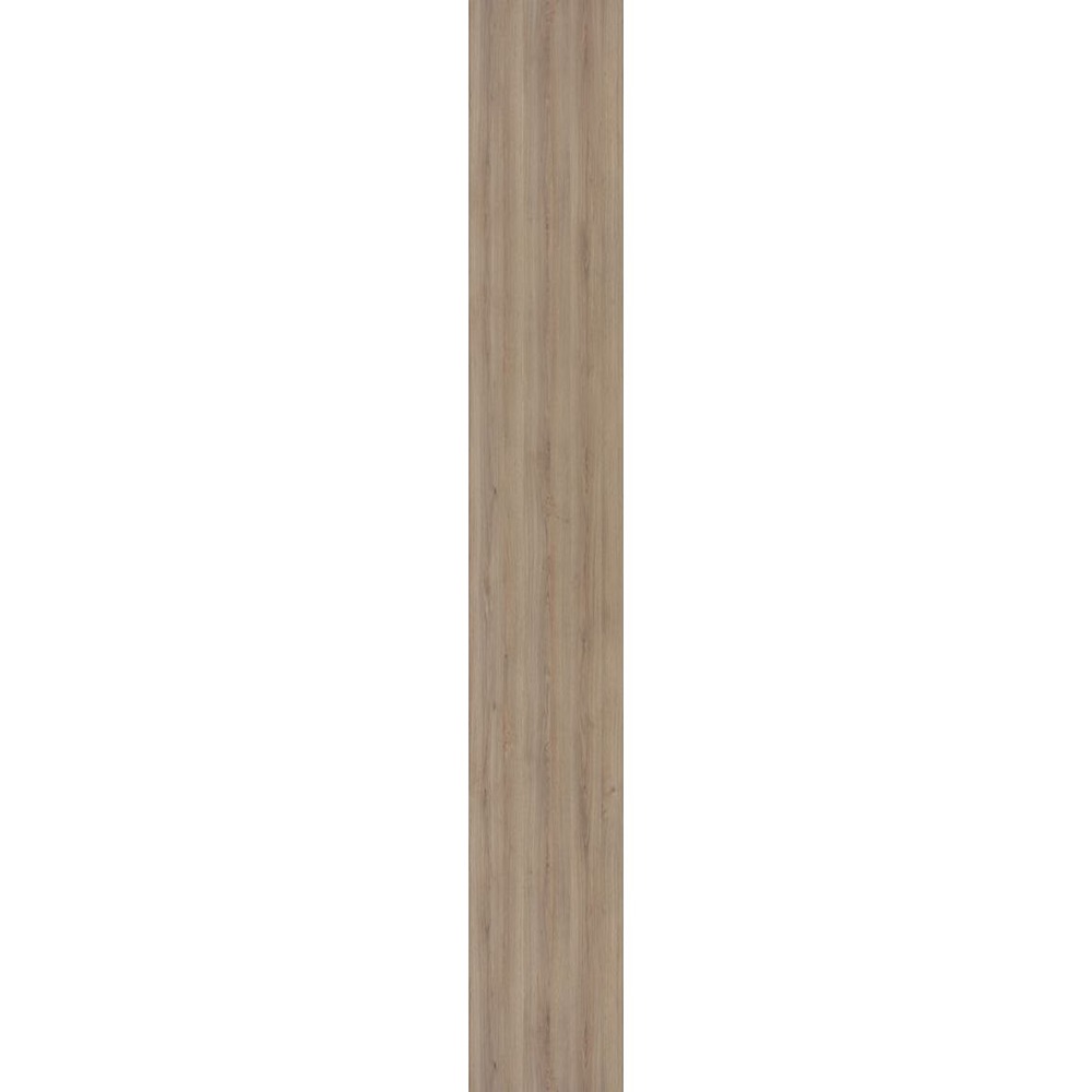 DIWW0224 1